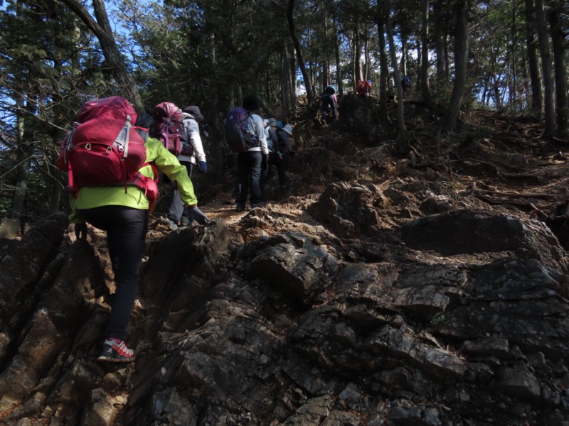 日和田山、物見山